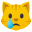 :crying_cat_face: